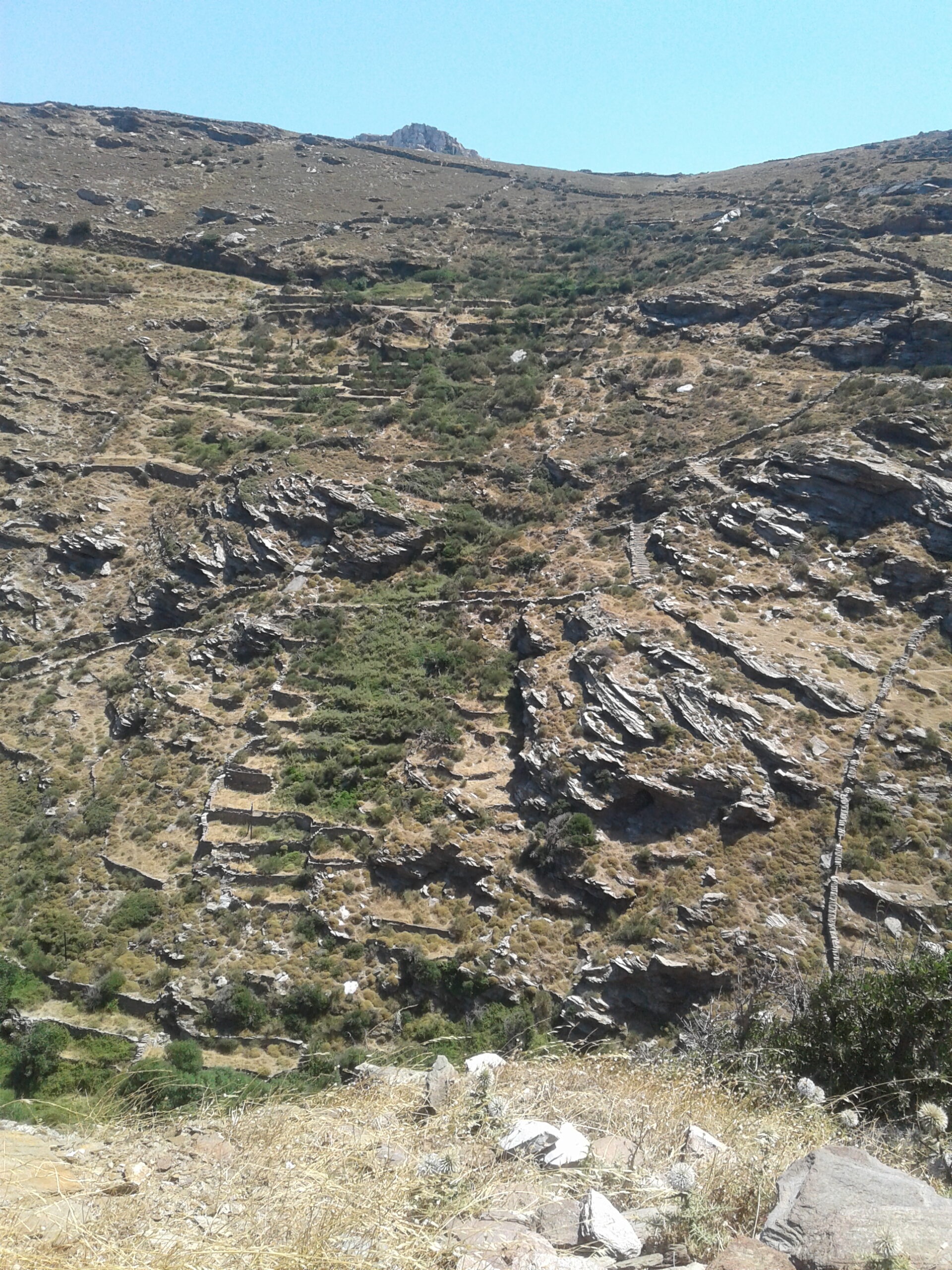 terroir